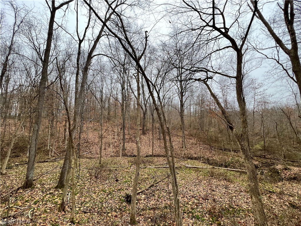 Briar Road Magnolia, OH 44643 - Photo 10 of 22