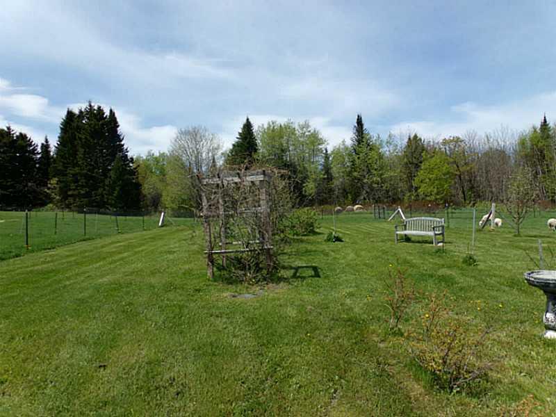 571 Margison Road Woodland, ME 04736 - Photo 2 of 15 Yard/Garden.