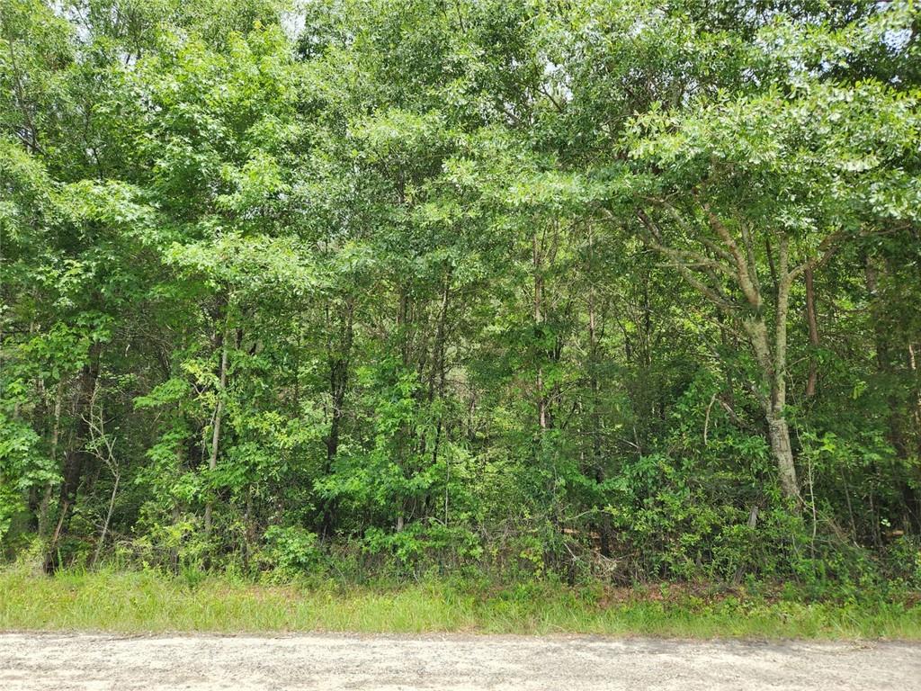 0 Barton Bridge Road Monroe, GA 30655 - Photo 3 of 5