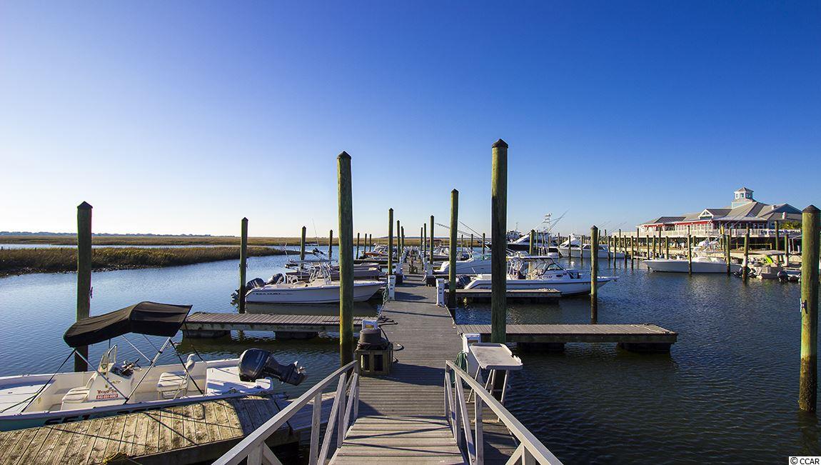 155 Bucky Loop Murrells Inlet, SC 29576 - Photo 35 of 40 Gallery Image 35
