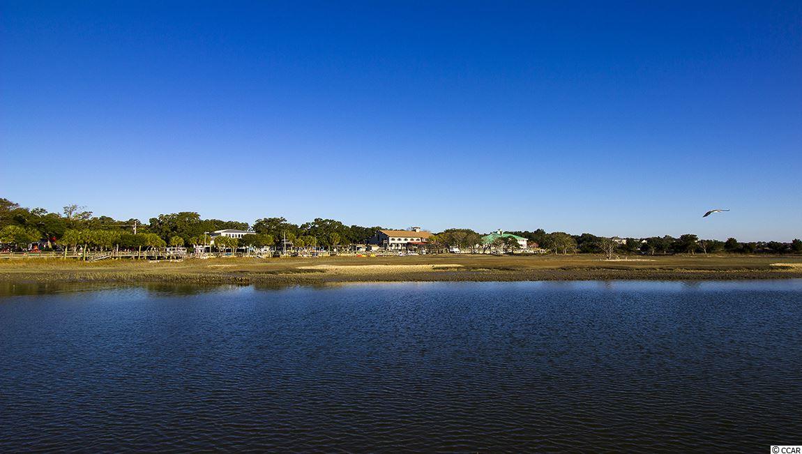 155 Bucky Loop Murrells Inlet, SC 29576 - Photo 40 of 40 Gallery Image 40