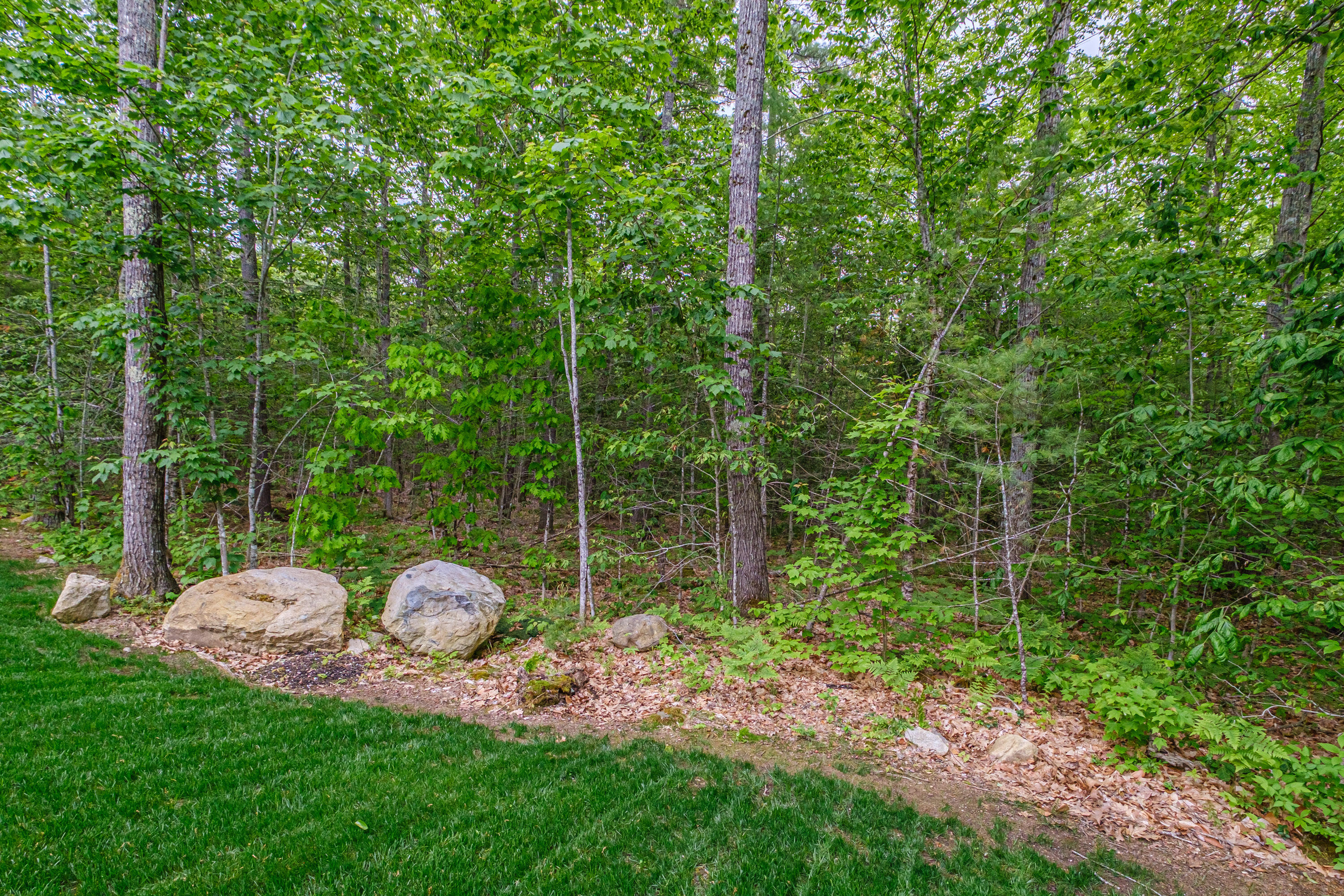 28 Bracken Woods Road Raymond, ME 04071 - Photo 62 of 73 20250602gp-60072