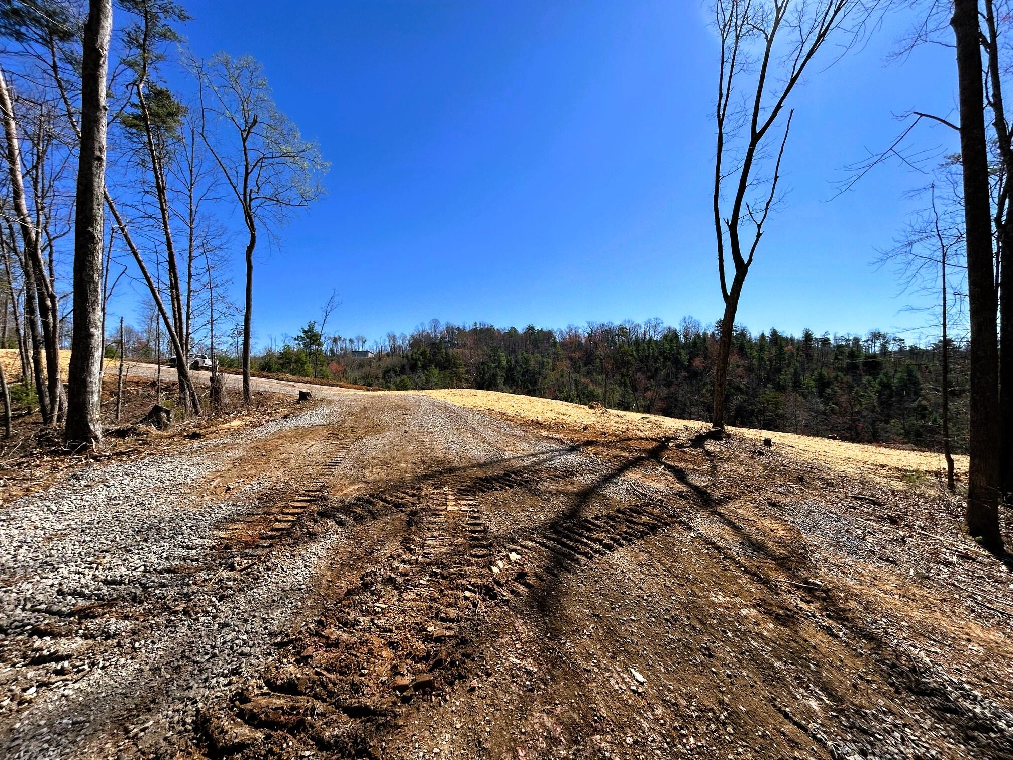 107 Chestnut Road Reliance, TN 37369 - Photo 11 of 21 IMG_0056 (1)