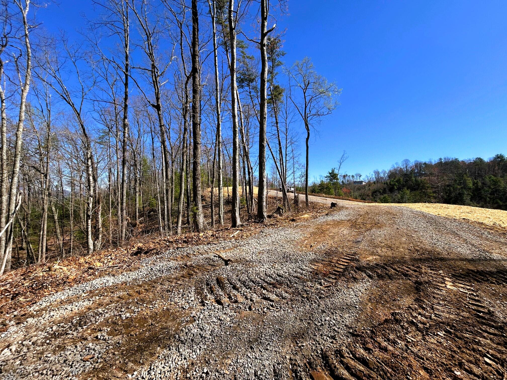 107 Chestnut Road Reliance, TN 37369 - Photo 12 of 21 IMG_0055