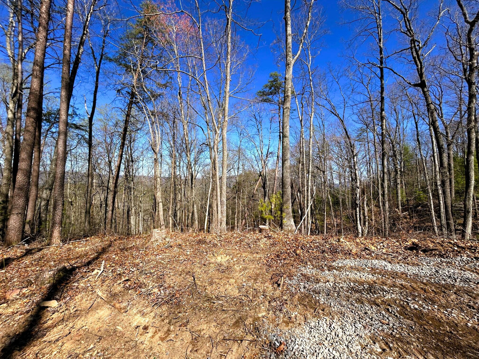 107 Chestnut Road Reliance, TN 37369 - Photo 13 of 21 IMG_0054