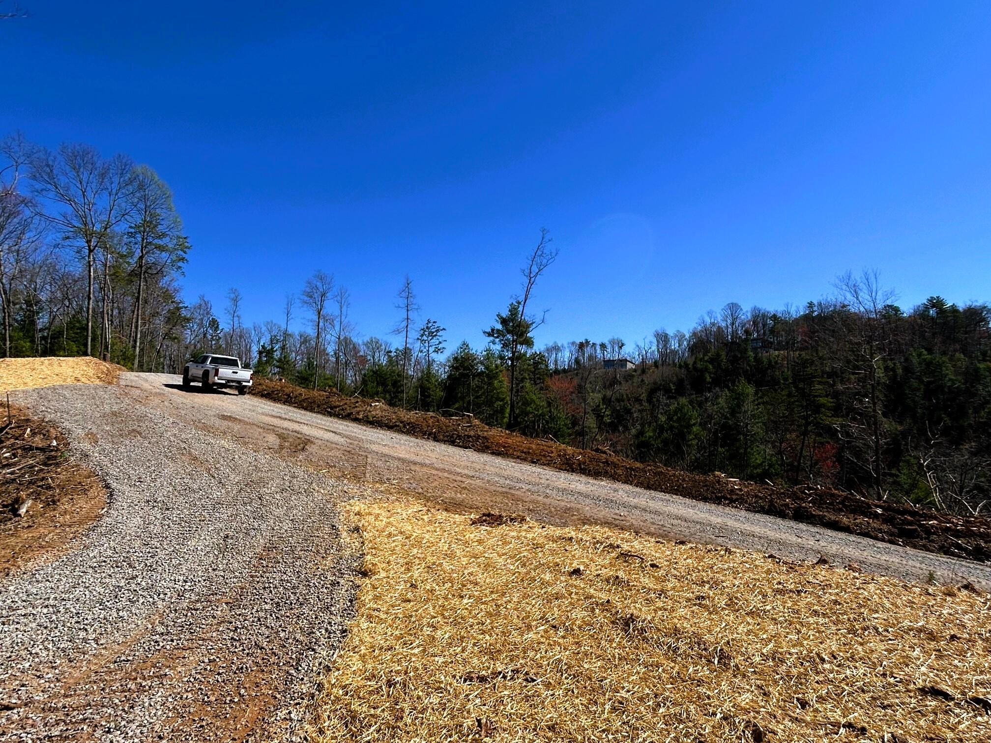 107 Chestnut Road Reliance, TN 37369 - Photo 15 of 21 IMG_0051