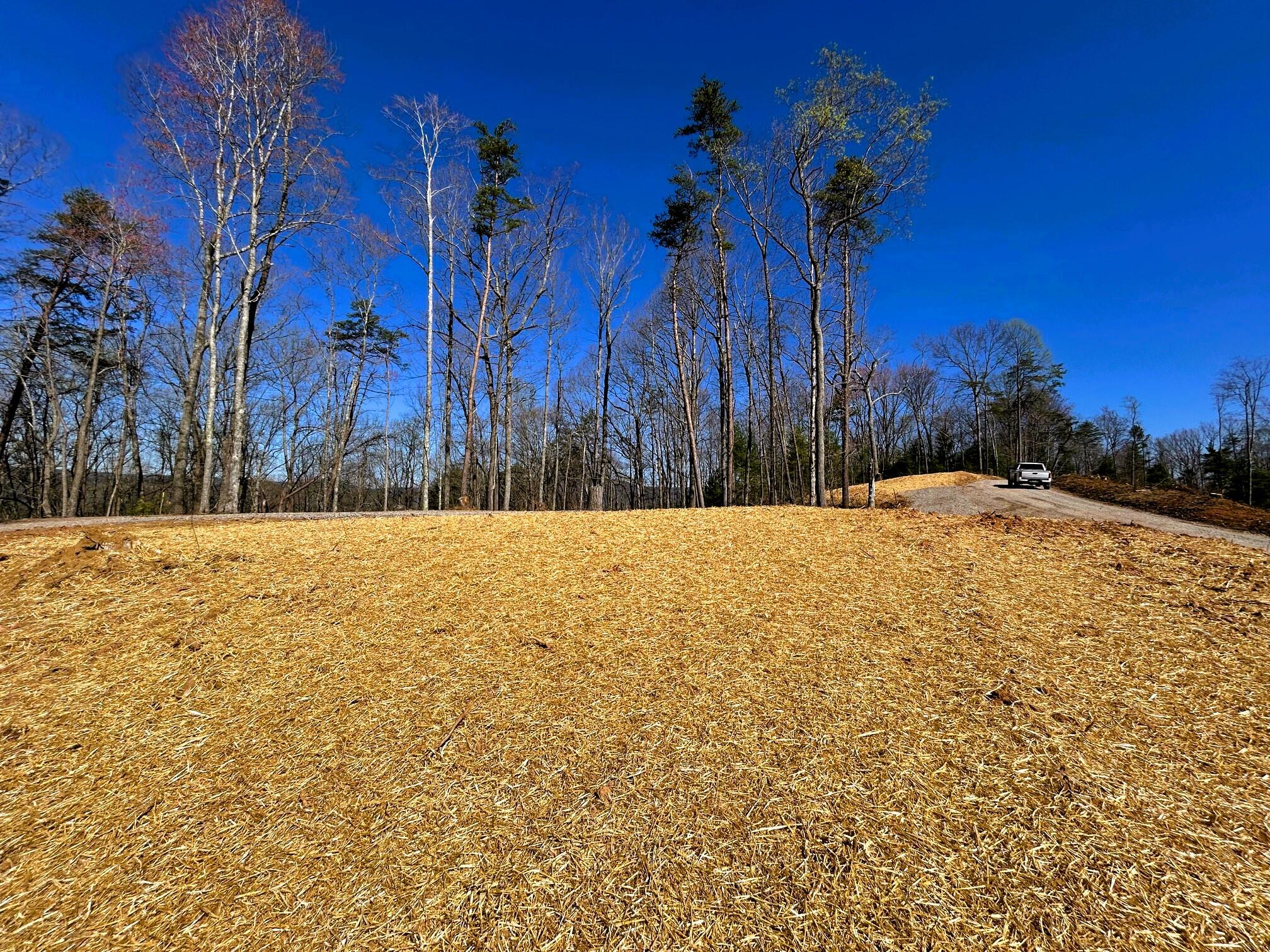 107 Chestnut Road Reliance, TN 37369 - Photo 16 of 21 IMG_0062