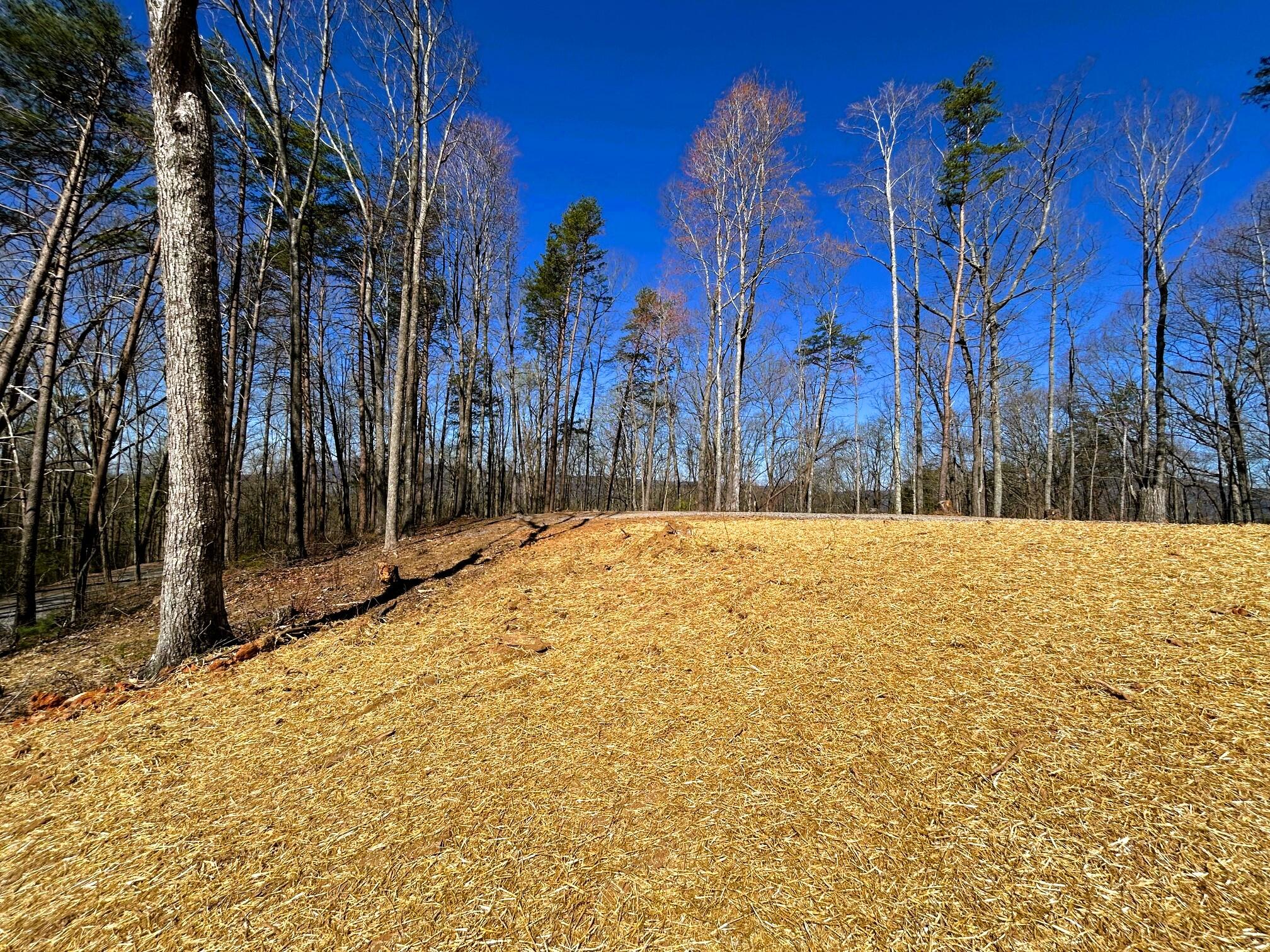 107 Chestnut Road Reliance, TN 37369 - Photo 17 of 21 IMG_0061