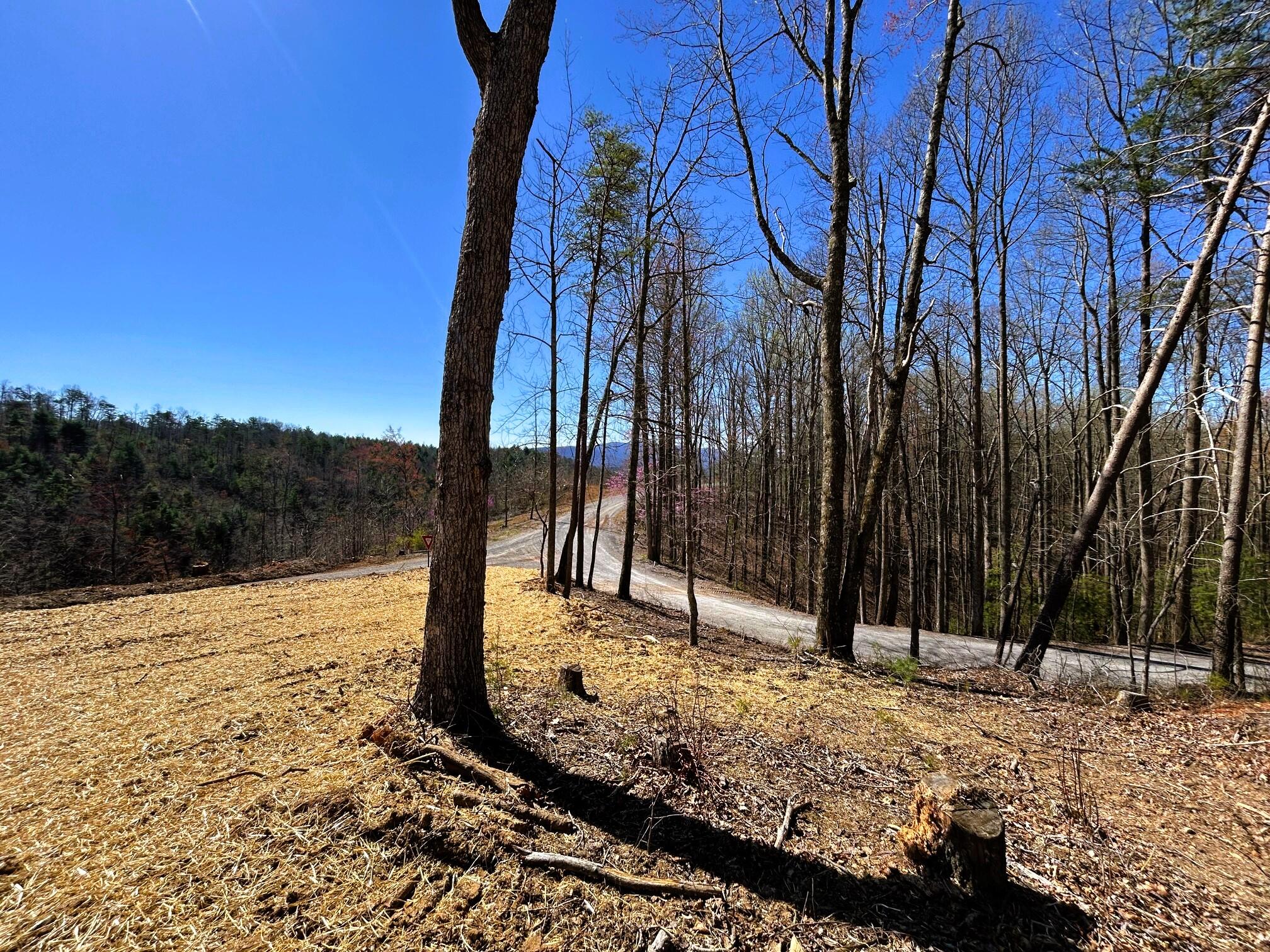 107 Chestnut Road Reliance, TN 37369 - Photo 18 of 21 IMG_0059