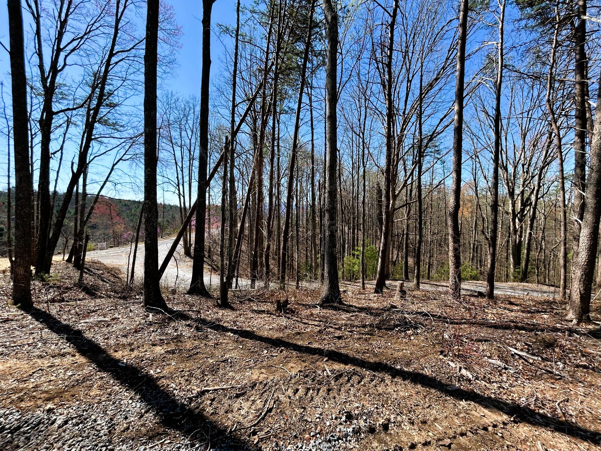 107 Chestnut Road Reliance, TN 37369 - Photo 19 of 21 IMG_0058