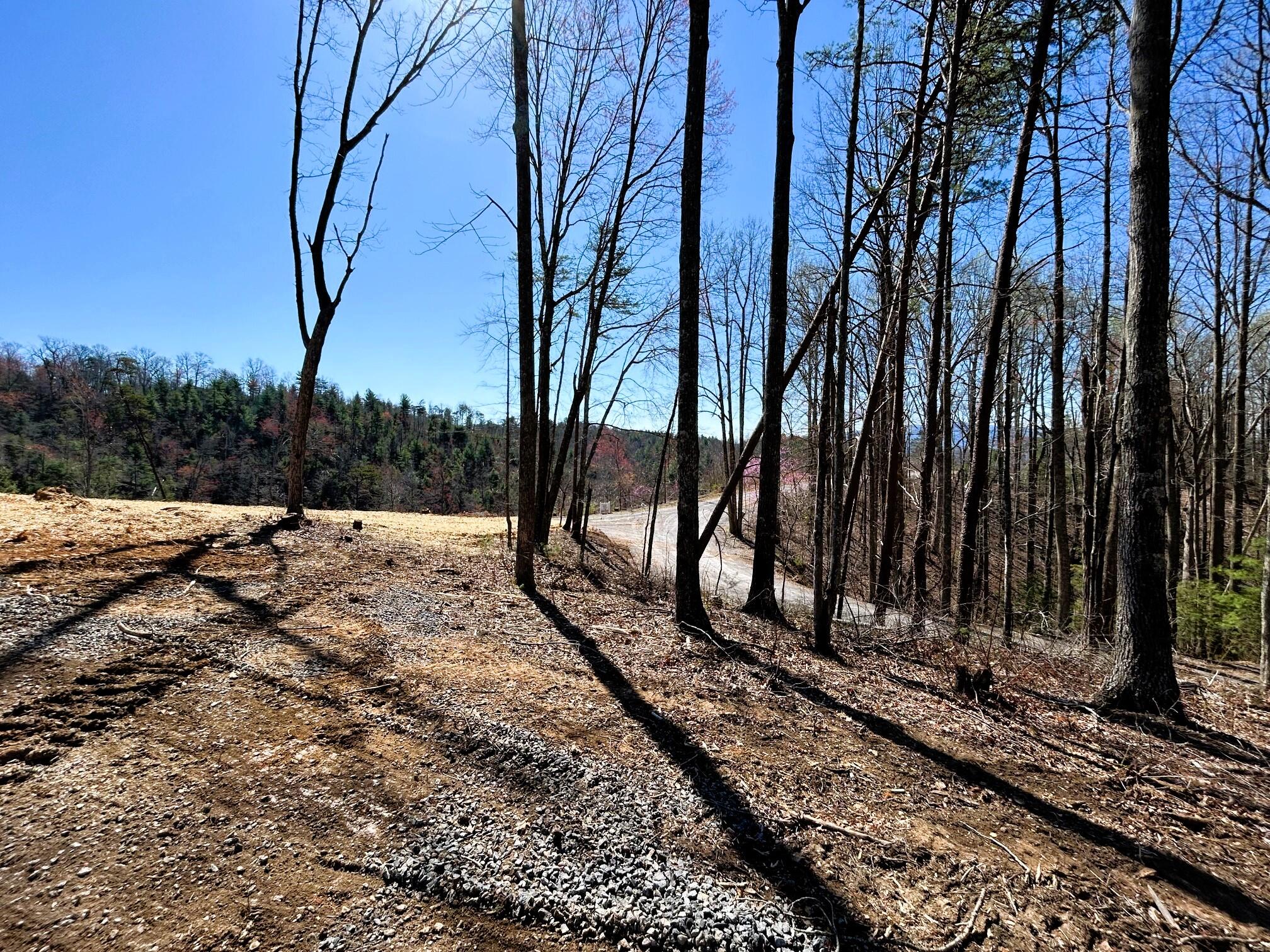 107 Chestnut Road Reliance, TN 37369 - Photo 20 of 21 IMG_0057