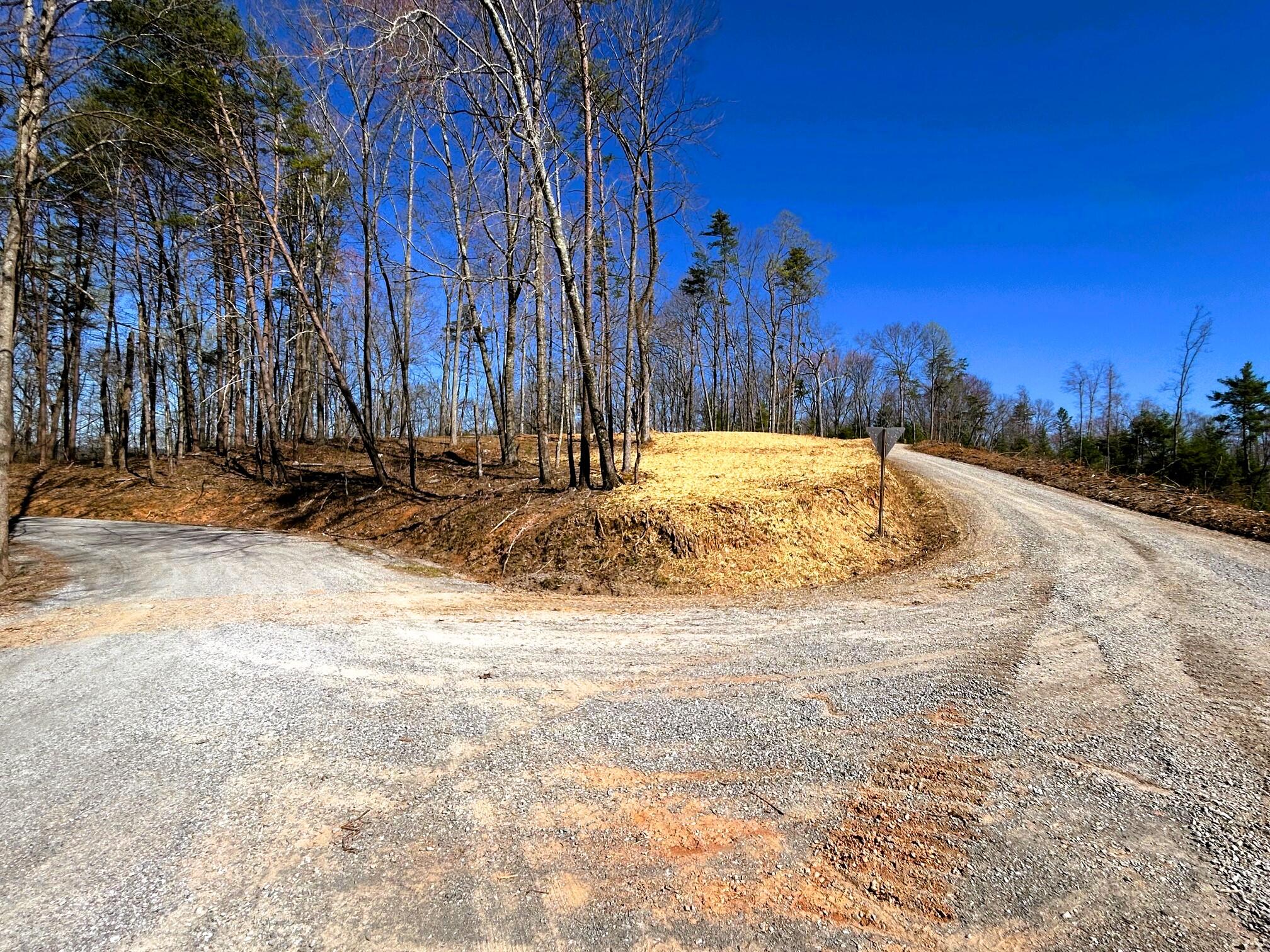 107 Chestnut Road Reliance, TN 37369 - Photo 2 of 21 Level Build Site