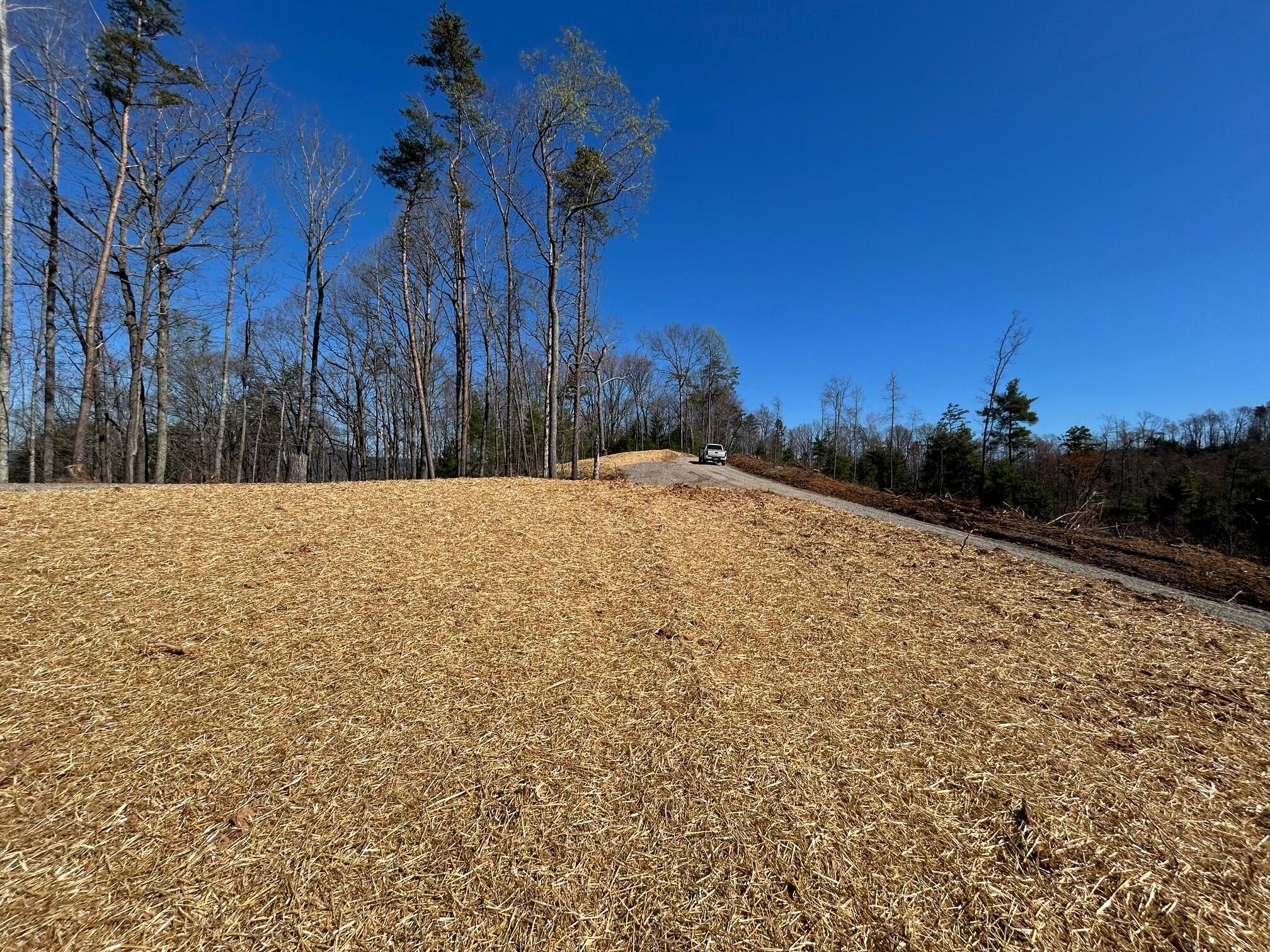 107 Chestnut Road Reliance, TN 37369 - Photo 21 of 21 IMG_0063