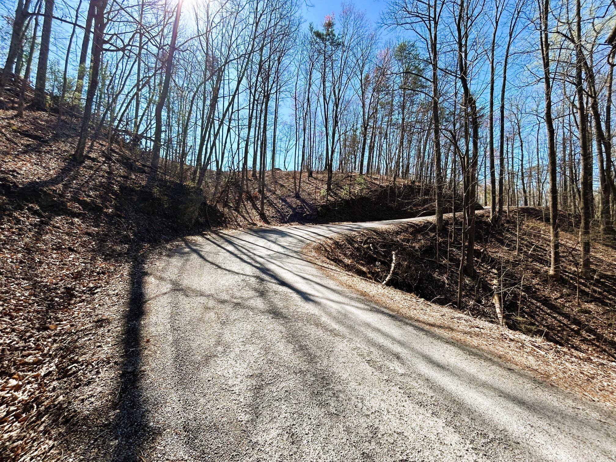 107 Chestnut Road Reliance, TN 37369 - Photo 3 of 21 Paved road