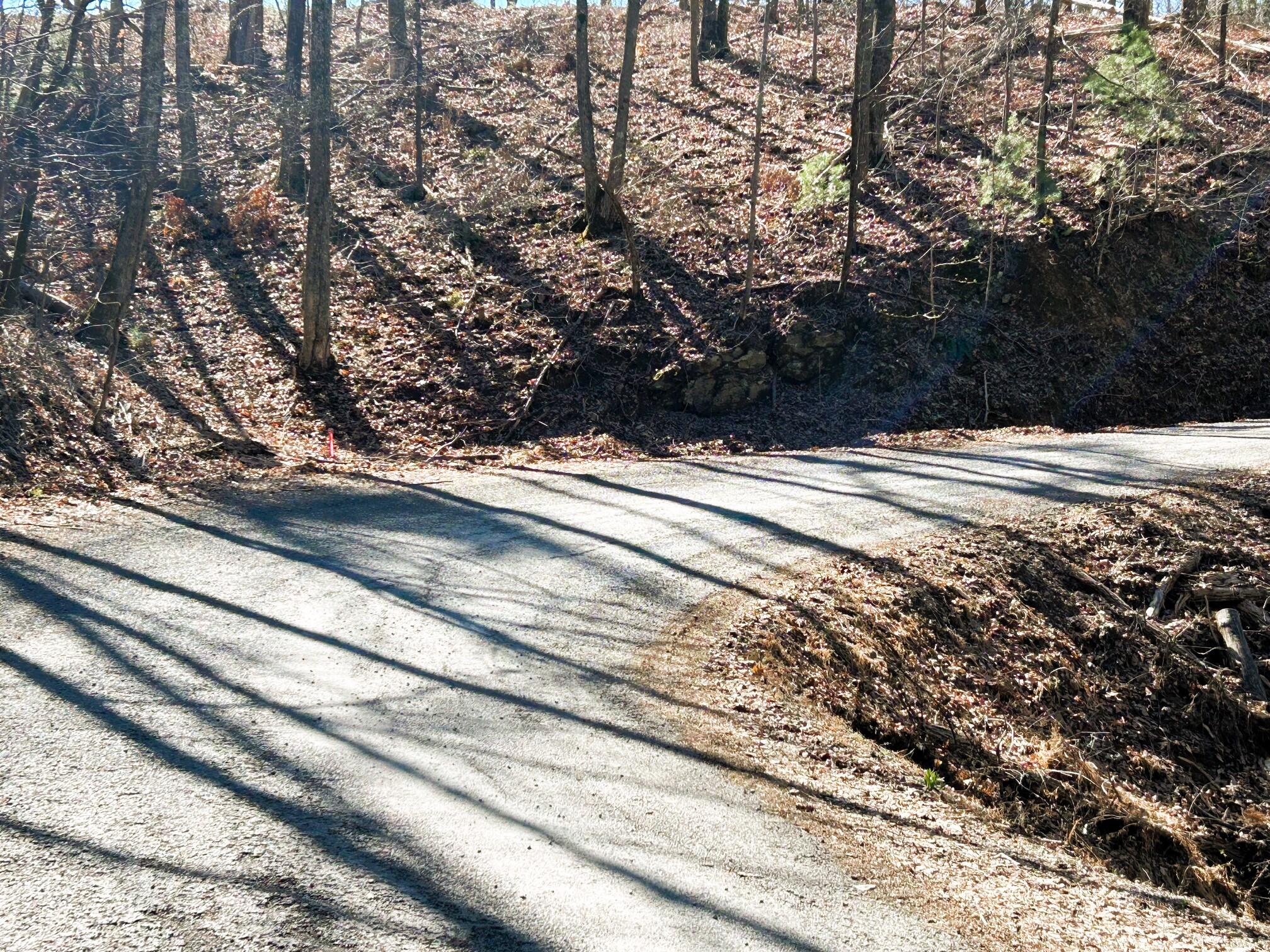 107 Chestnut Road Reliance, TN 37369 - Photo 4 of 21 Corners marked