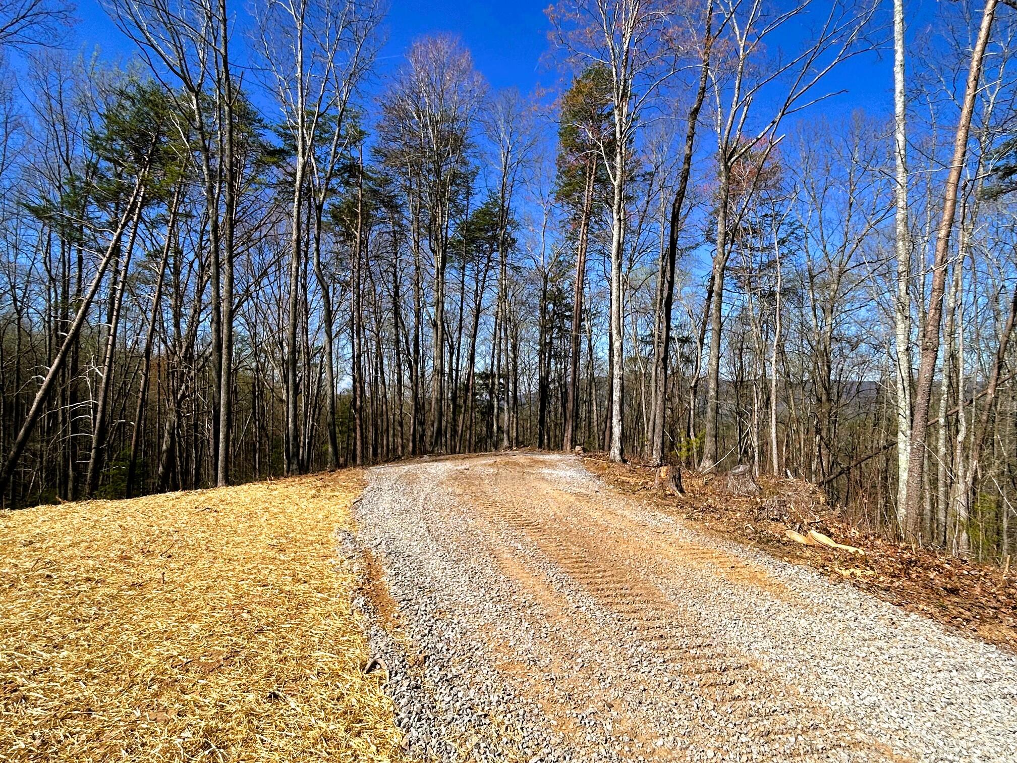 107 Chestnut Road Reliance, TN 37369 - Photo 5 of 21 Driveway