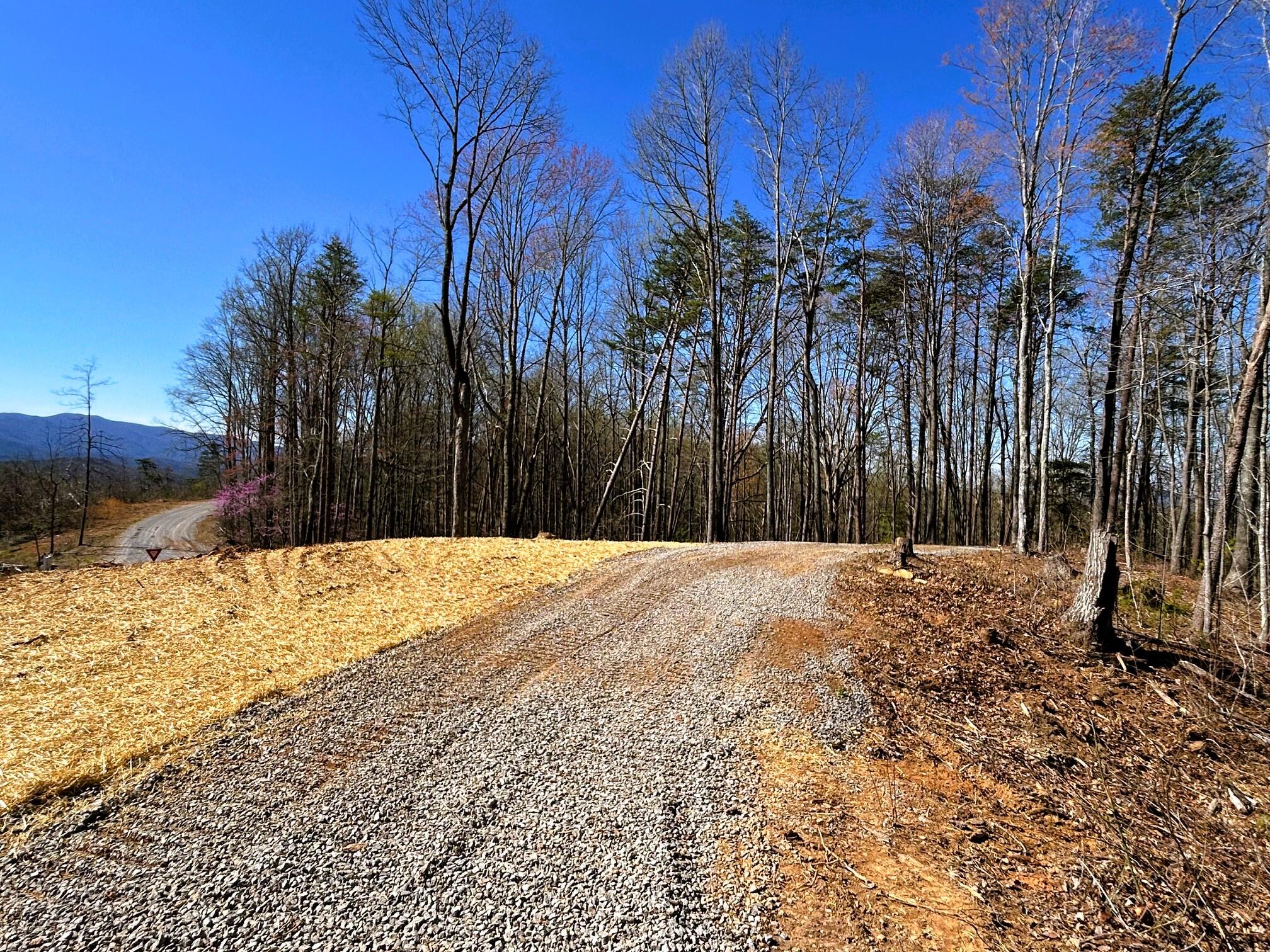 107 Chestnut Road Reliance, TN 37369 - Photo 7 of 21 Driveway and build area