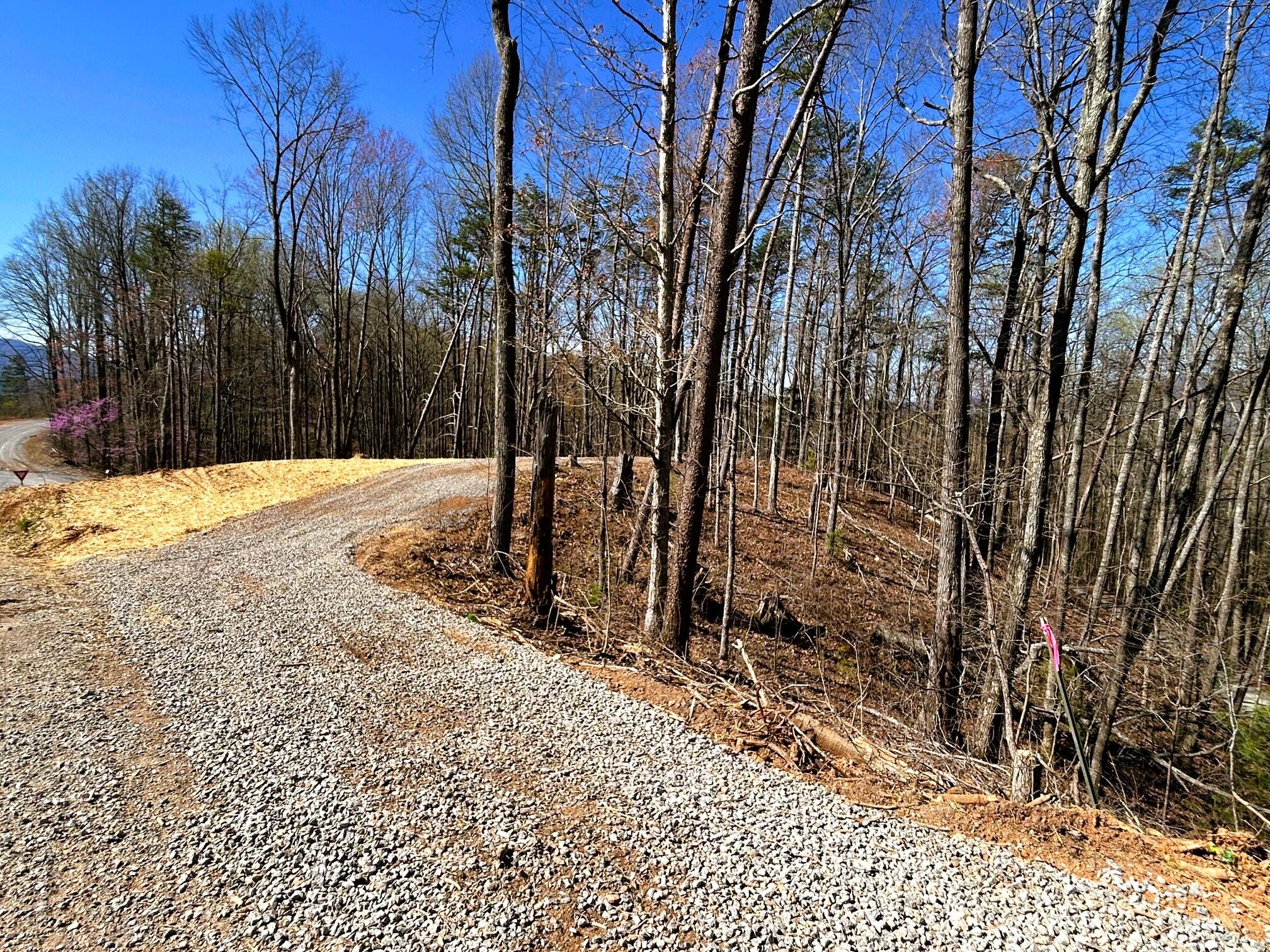 107 Chestnut Road Reliance, TN 37369 - Photo 8 of 21 IMG_0047