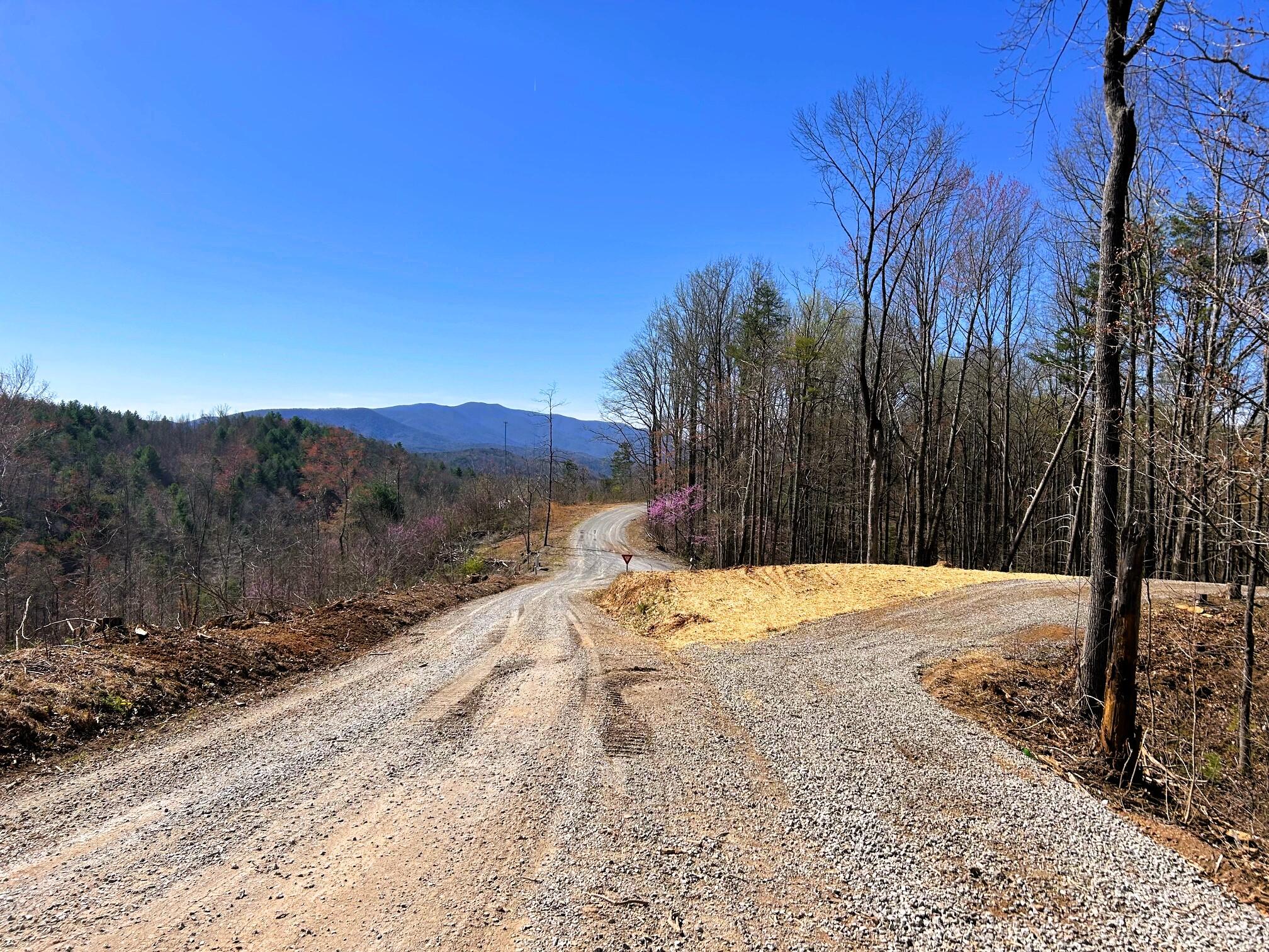 107 Chestnut Road Reliance, TN 37369 - Photo 9 of 21 IMG_0046