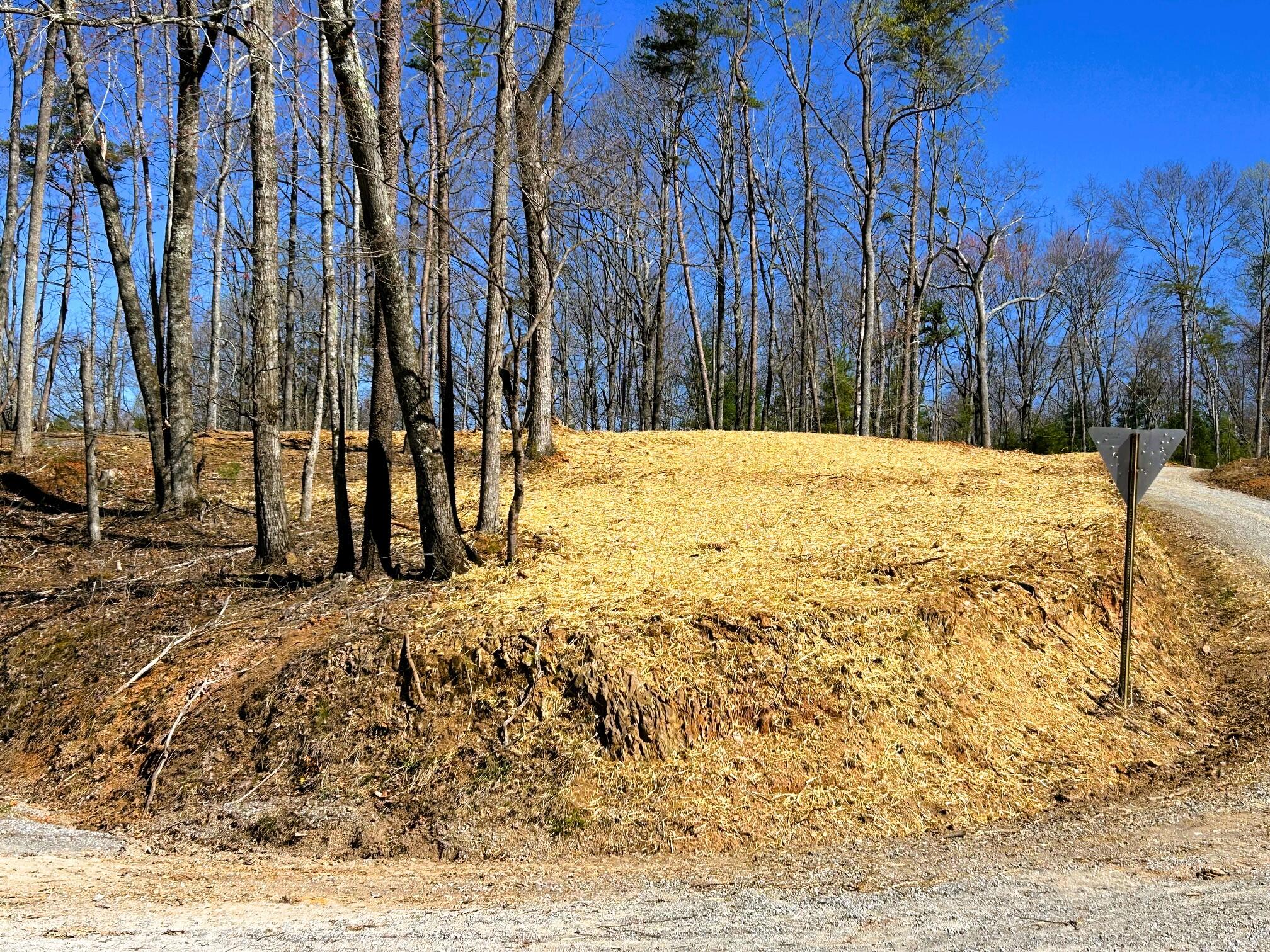 107 Chestnut Road Reliance, TN 37369 - Photo 10 of 21 IMG_0045