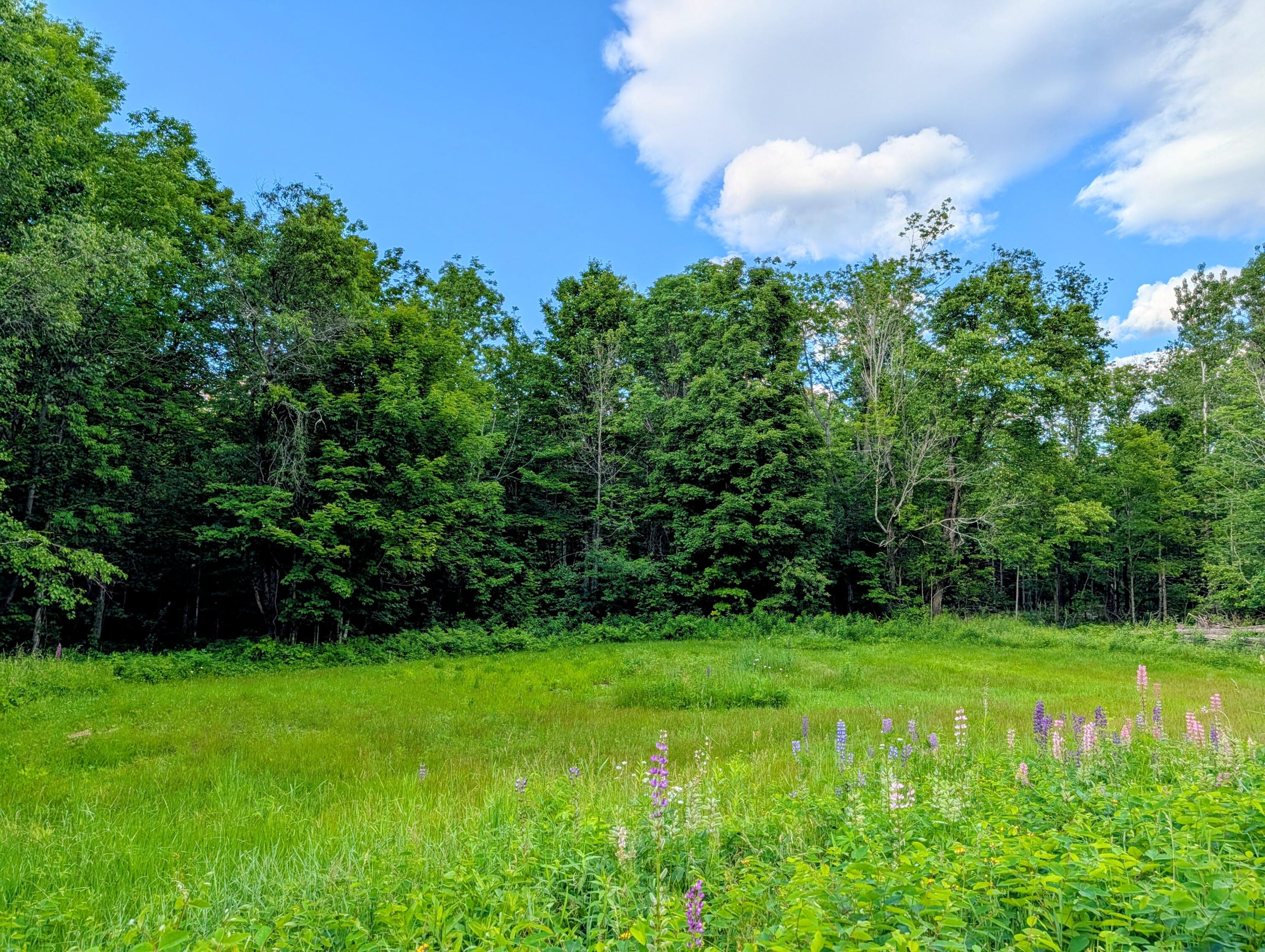 147 Calvin Gray Road Madrid Township, ME 04966 - Photo 51 of 68 147 Calvin Gray Road