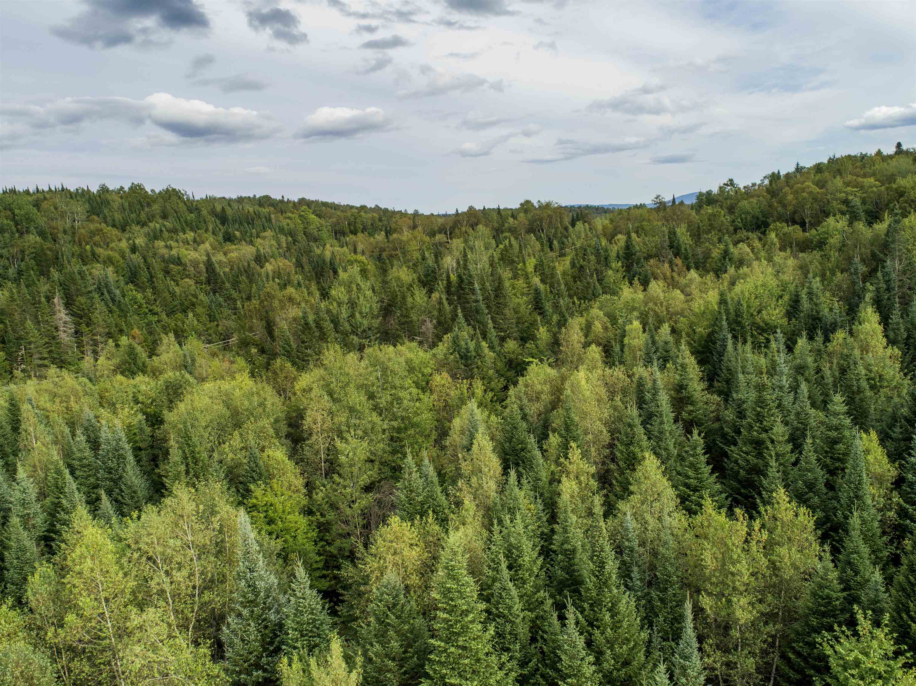 - Riverview Road Colebrook, NH 03576 - Photo 17 of 28