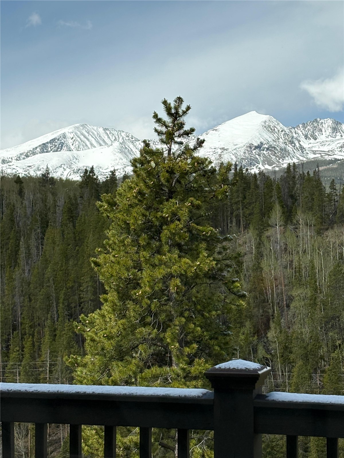 2542 Boreas Pass Road Breckenridge, CO 80424 - Photo 30 of 33 a view of a yard from a balcony