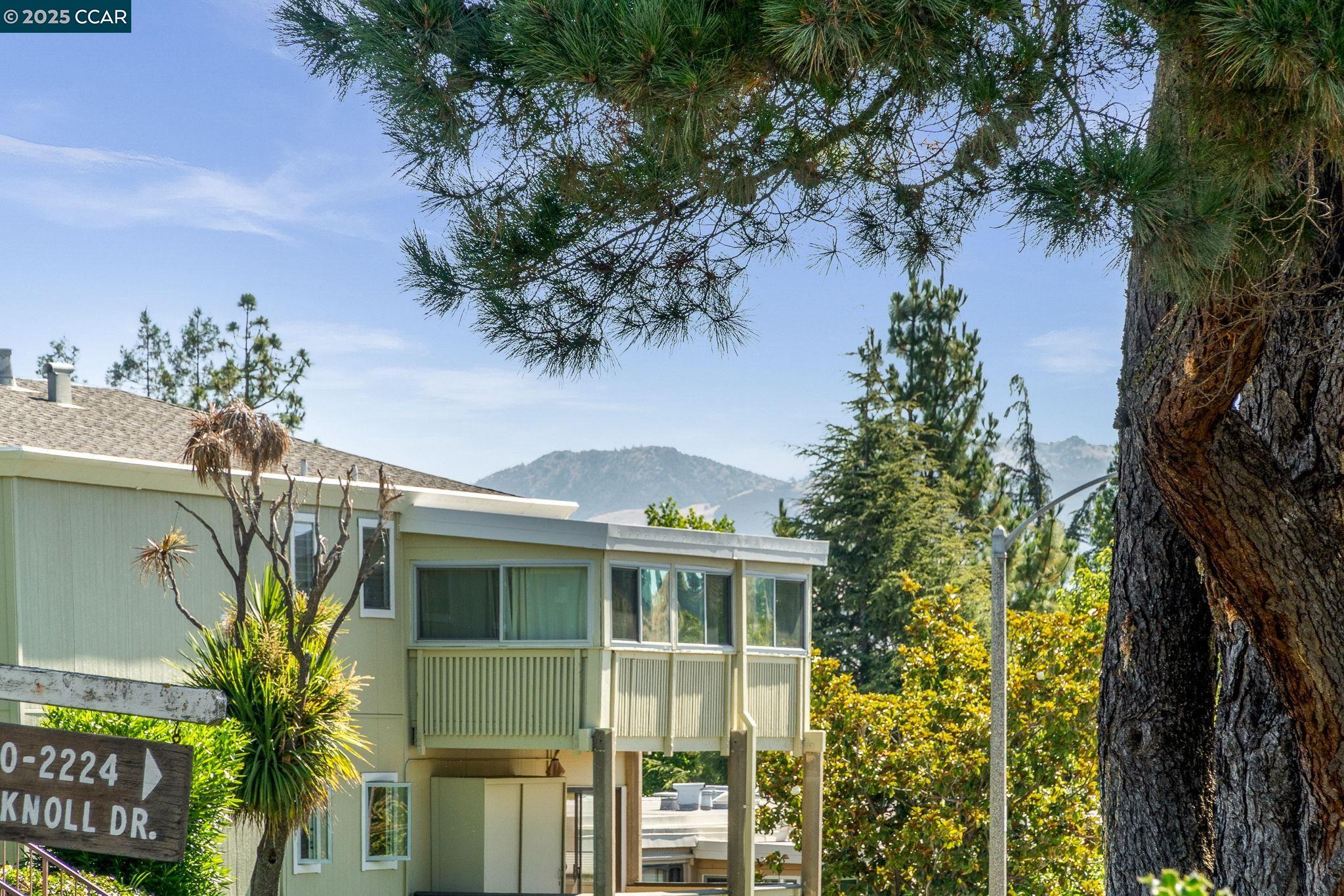 2300 Pine Knoll Drive, Unit 1 Walnut Creek, CA 94595 - Photo 40 of 46 a front view of a house with a yard and potted plants