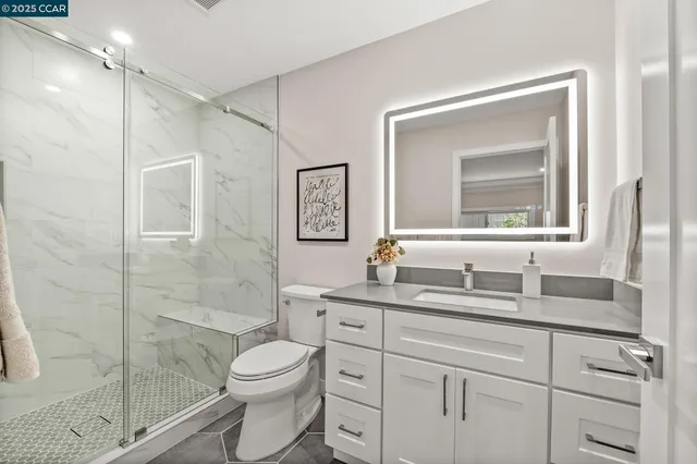 a bathroom with a toilet a sink a glass door a shower a mirror and vanity