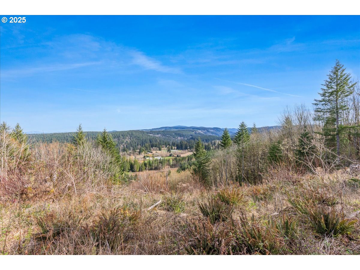 0 Southeast Herrick Road Sandy, OR 97055 - Photo 16 of 35 Gallery Image 16
