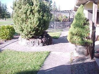 888 Hudis Street Rohnert Park, CA 94928 - Photo 5 of 10