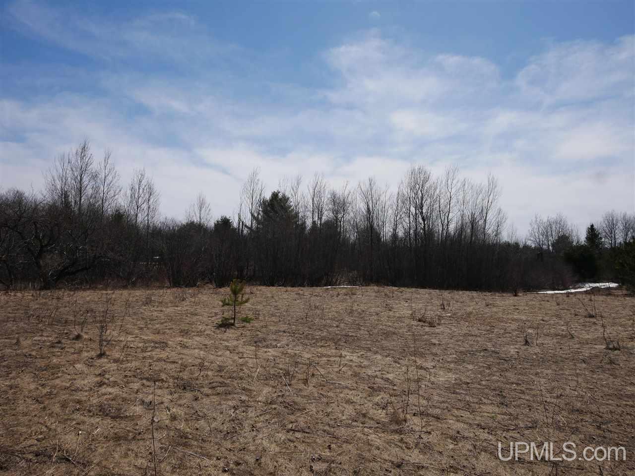 Tbdc Gregoire Road Lake Linden, MI 49945 - Photo 8 of 13 Gallery Image 8