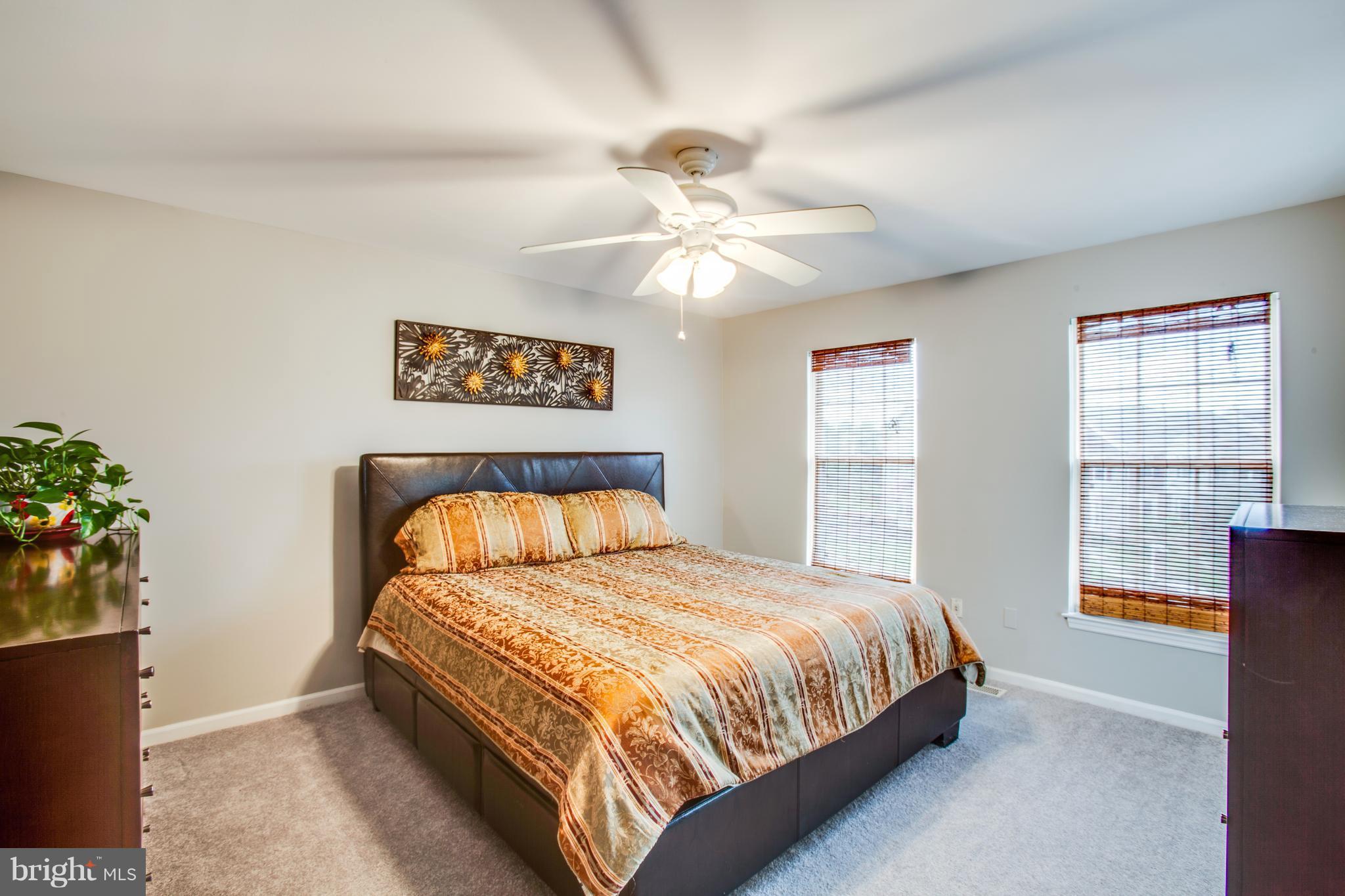 6005 Bingley Road Alexandria, VA 22315 - Photo 14 of 26 Bath (Master)