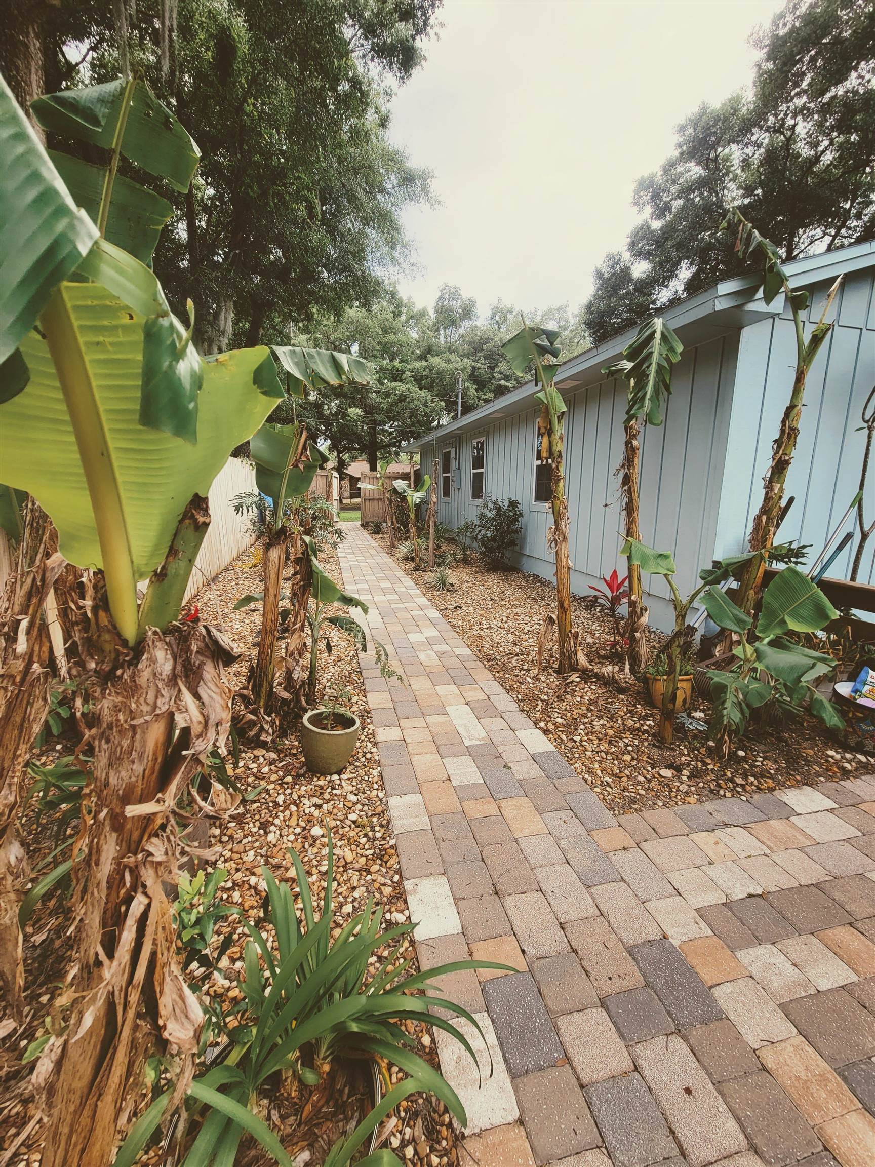 203 Queen Road St. Augustine, FL 32086 - Photo 26 of 32 a backyard of a house with table and chairs