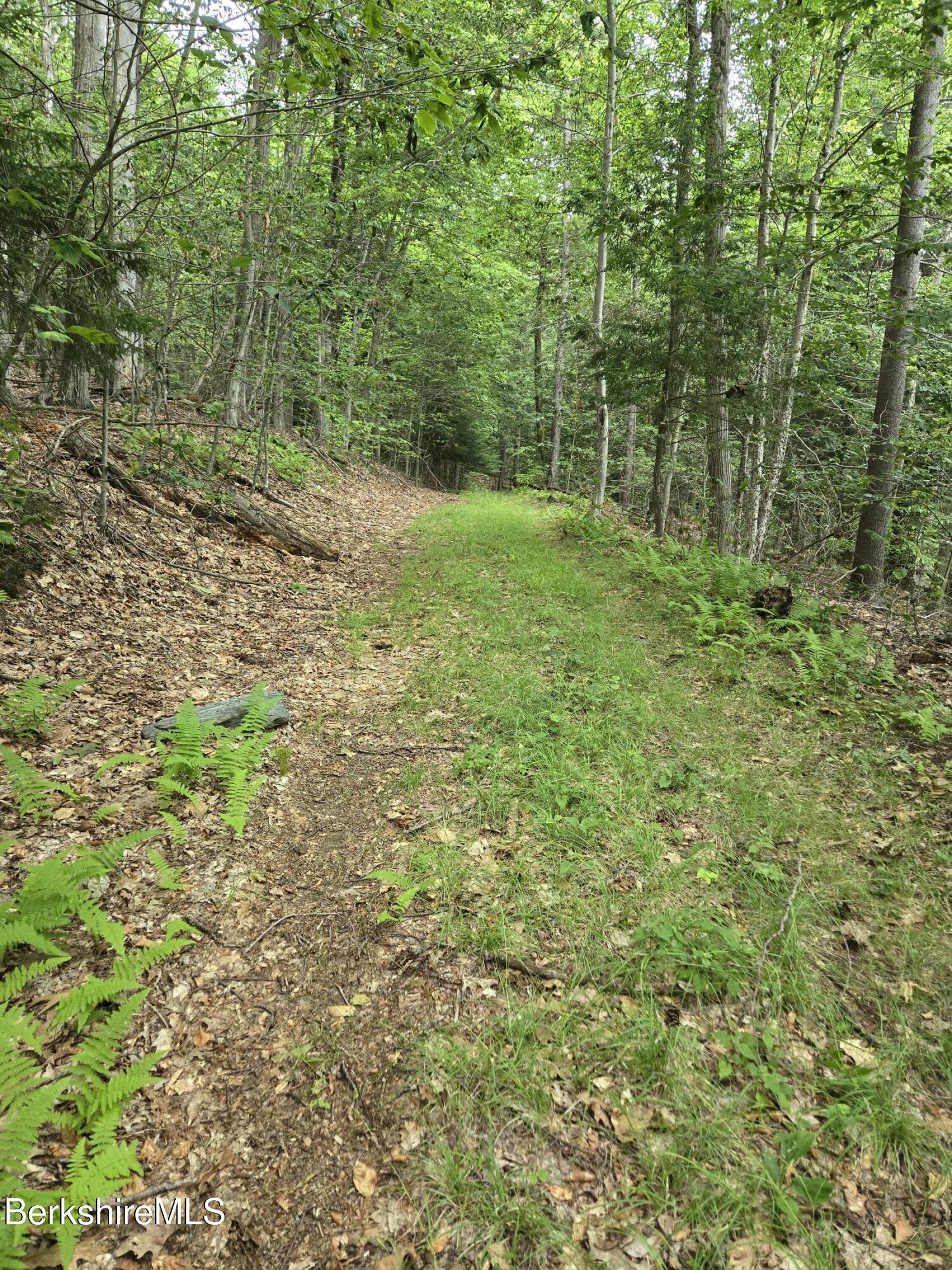 0 Monroe Road Drury, MA 01343 - Photo 3 of 17 1000021838