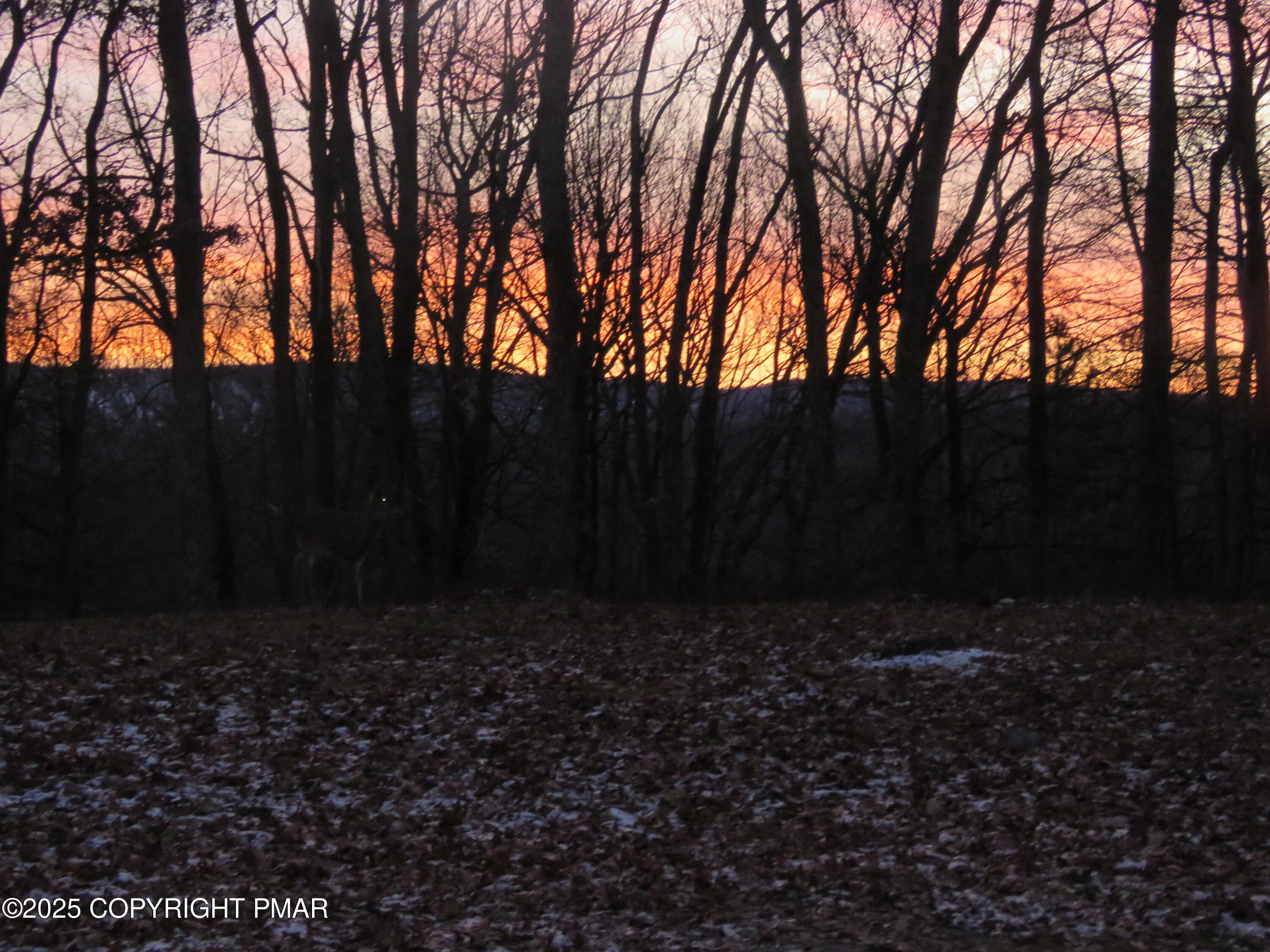 5186 Spring Drive Swiftwater, PA 18370 - Photo 21 of 22 IMG_9772