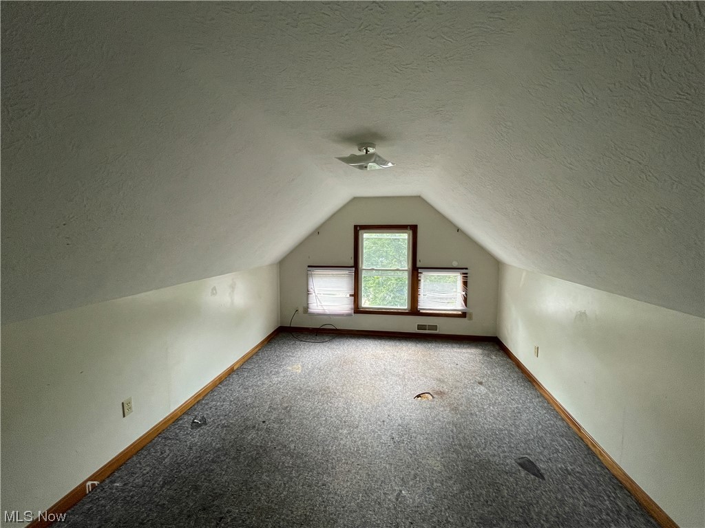 829 Berwin Street Akron, OH 44310 - Photo 17 of 24 Additional space with carpet floors, lofted ceiling, and a textured ceiling