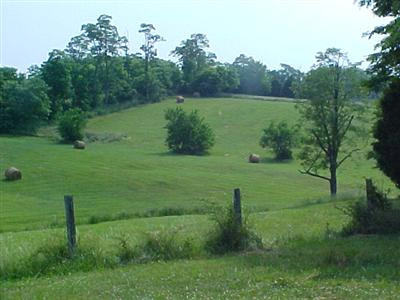 2699 Crowe Ridge Road Winchester, KY 40391 - Photo 14 of 22 Photo 14