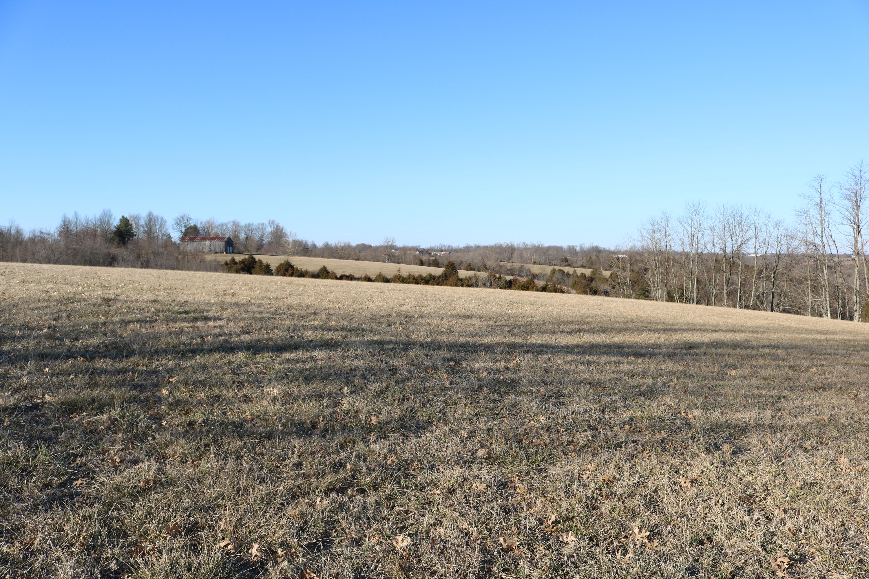 5.21-acres Vallandingham Road Dry Ridge, KY 41035 - Photo 3 of 10