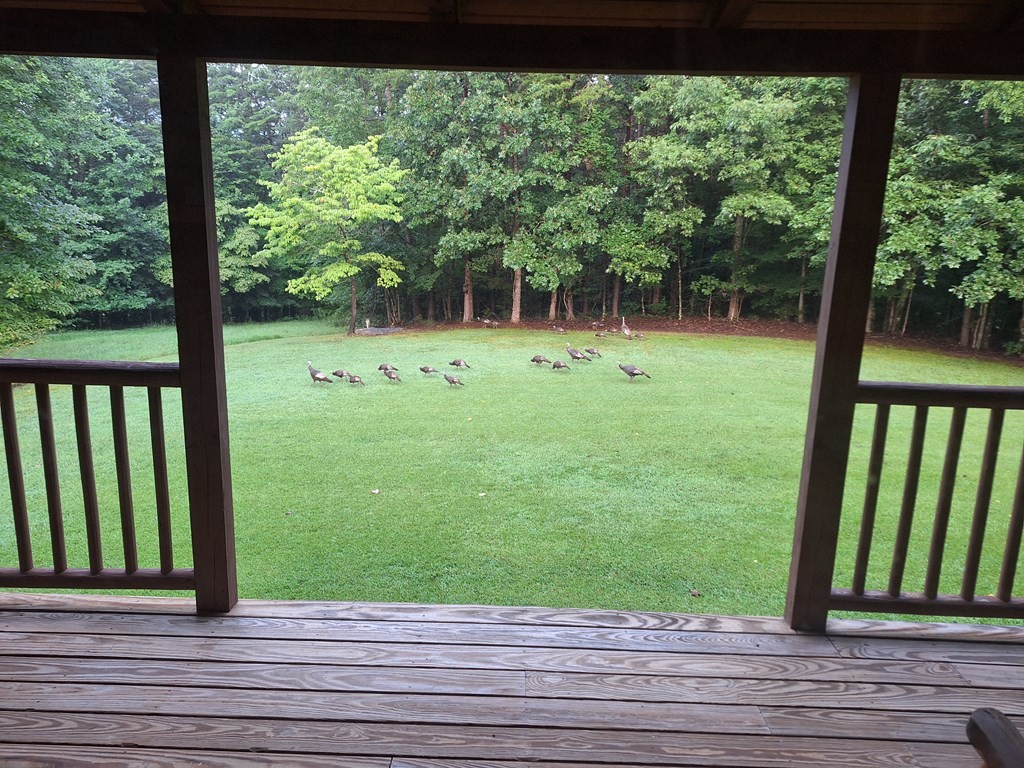 146 Sparkman Town Road Rock Island, TN 38581 - Photo 18 of 60 a view of a house with a backyard