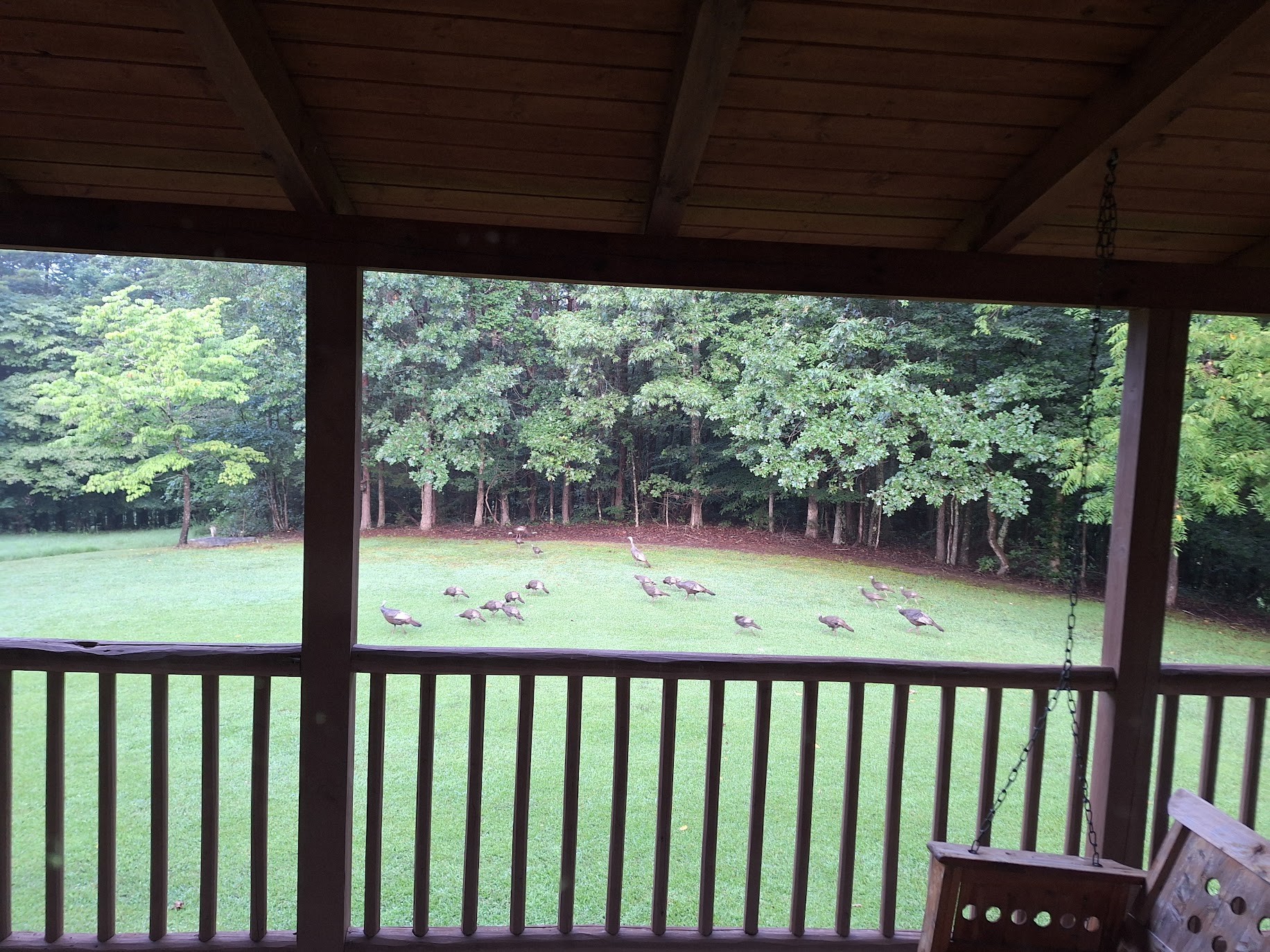 146 Sparkman Town Road Rock Island, TN 38581 - Photo 29 of 60