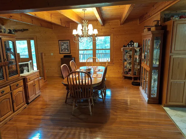 a view of a field with a tree