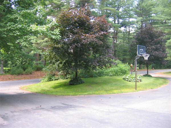 65 Williams Road Concord, MA 01742 - Photo 11 of 15