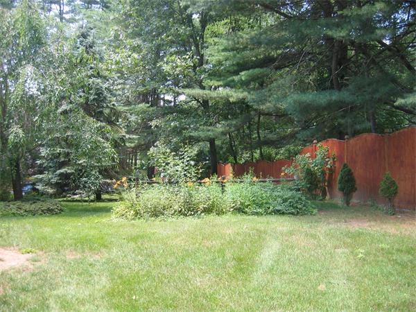 65 Williams Road Concord, MA 01742 - Photo 15 of 15 a view of a garden