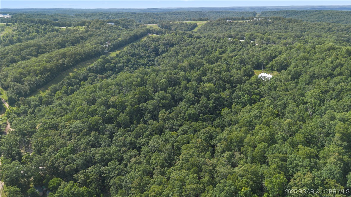 Twin Rivers Point Camdenton, MO 65020 - Photo 11 of 35