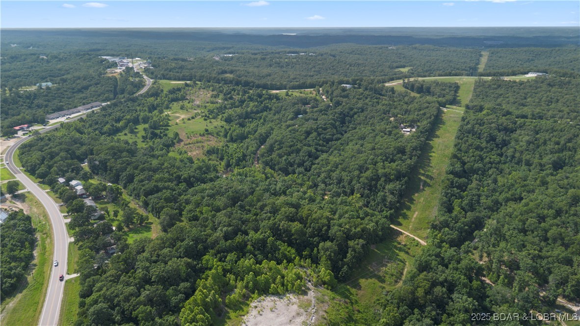 Twin Rivers Point Camdenton, MO 65020 - Photo 18 of 35