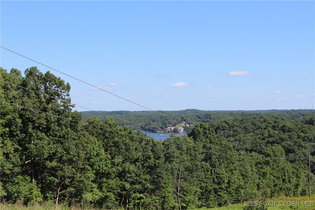 Twin Rivers Point Camdenton, MO 65020 - Photo 2 of 35