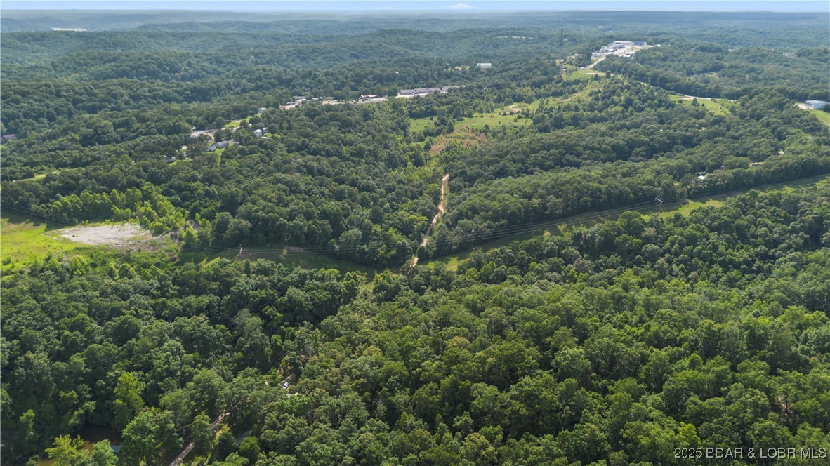 Twin Rivers Point Camdenton, MO 65020 - Photo 9 of 35