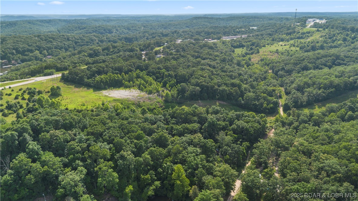 Twin Rivers Point Camdenton, MO 65020 - Photo 10 of 35