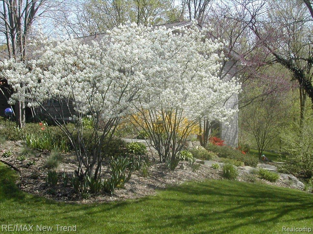 19550 Clement Road Northville, MI 48167 - Photo 19 of 20 Landscaping